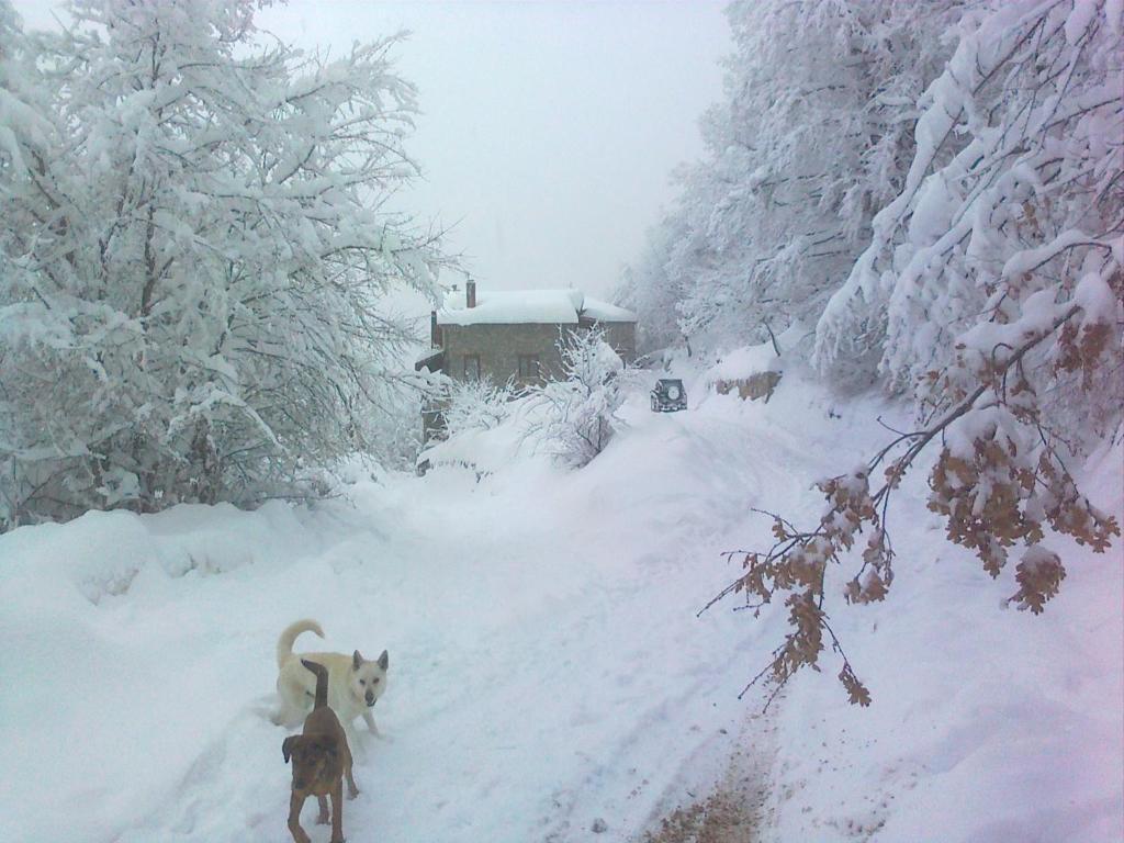 Lydia Lithos Mountain Resort Metamorfosi  Zewnętrze zdjęcie