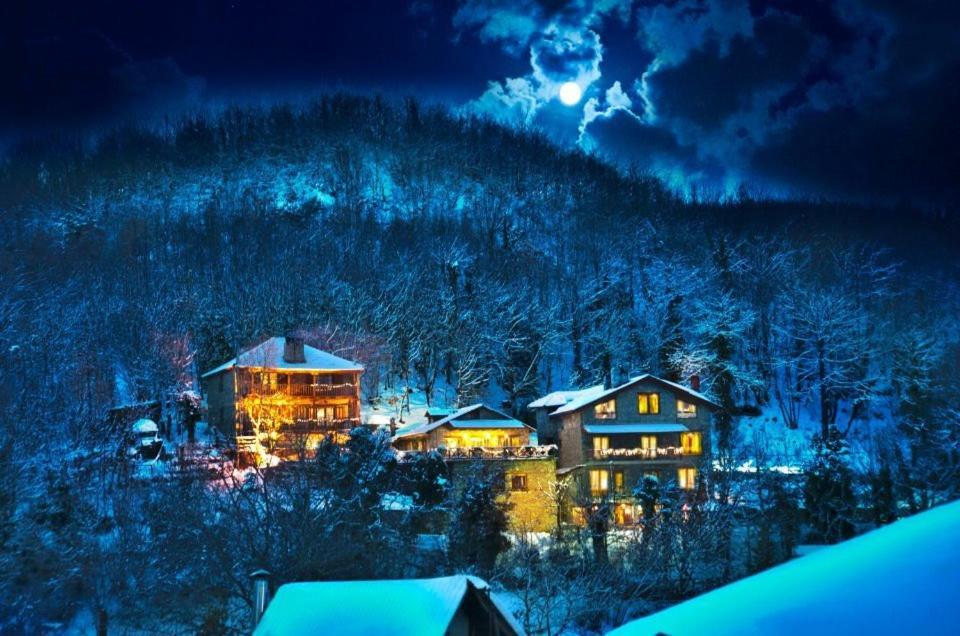 Lydia Lithos Mountain Resort Metamorfosi  Zewnętrze zdjęcie